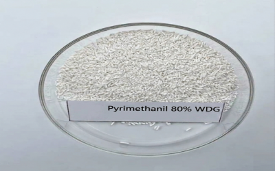 Pyrimethanil 80% WG